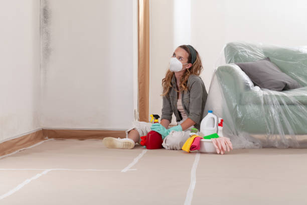 Reliable Mold Inspection contractor in Monmouth Junction, NJ by WQB Mold Removal